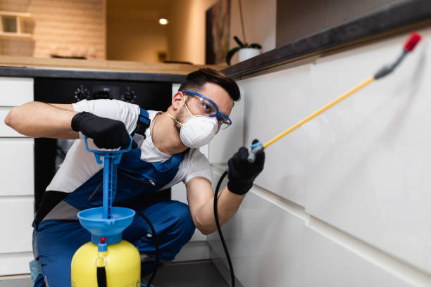 Best Ant Control Services  in St Augustine Beach, FL