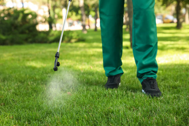 Best Commercial Pest Control Services  in St Augustine Beach, FL