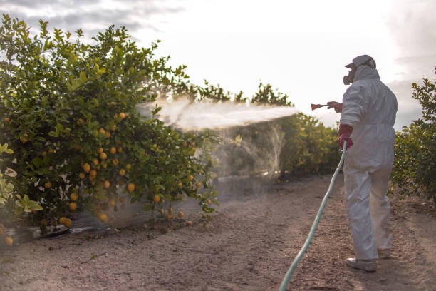 Pest Control Cost in St Augustine Beach, FL