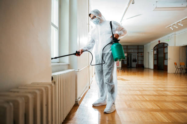Flea Control Services in St Augustine Beach, FL