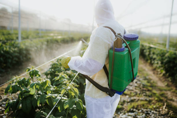 Best Pest Prevention Services  in St Augustine Beach, FL